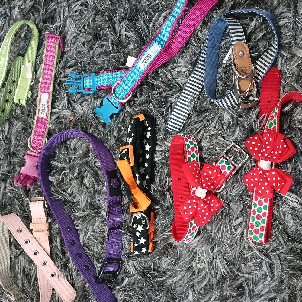 Dog Collars 9 Pack LOT Bundle
